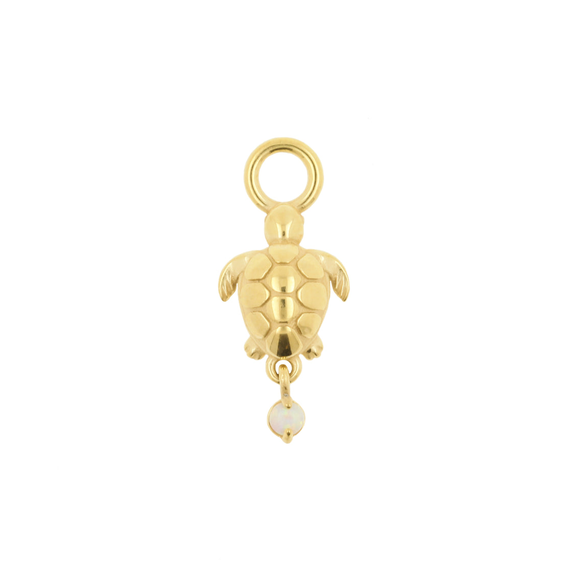 Nickel-Free Stainless Steel Charm - Turtle Gold