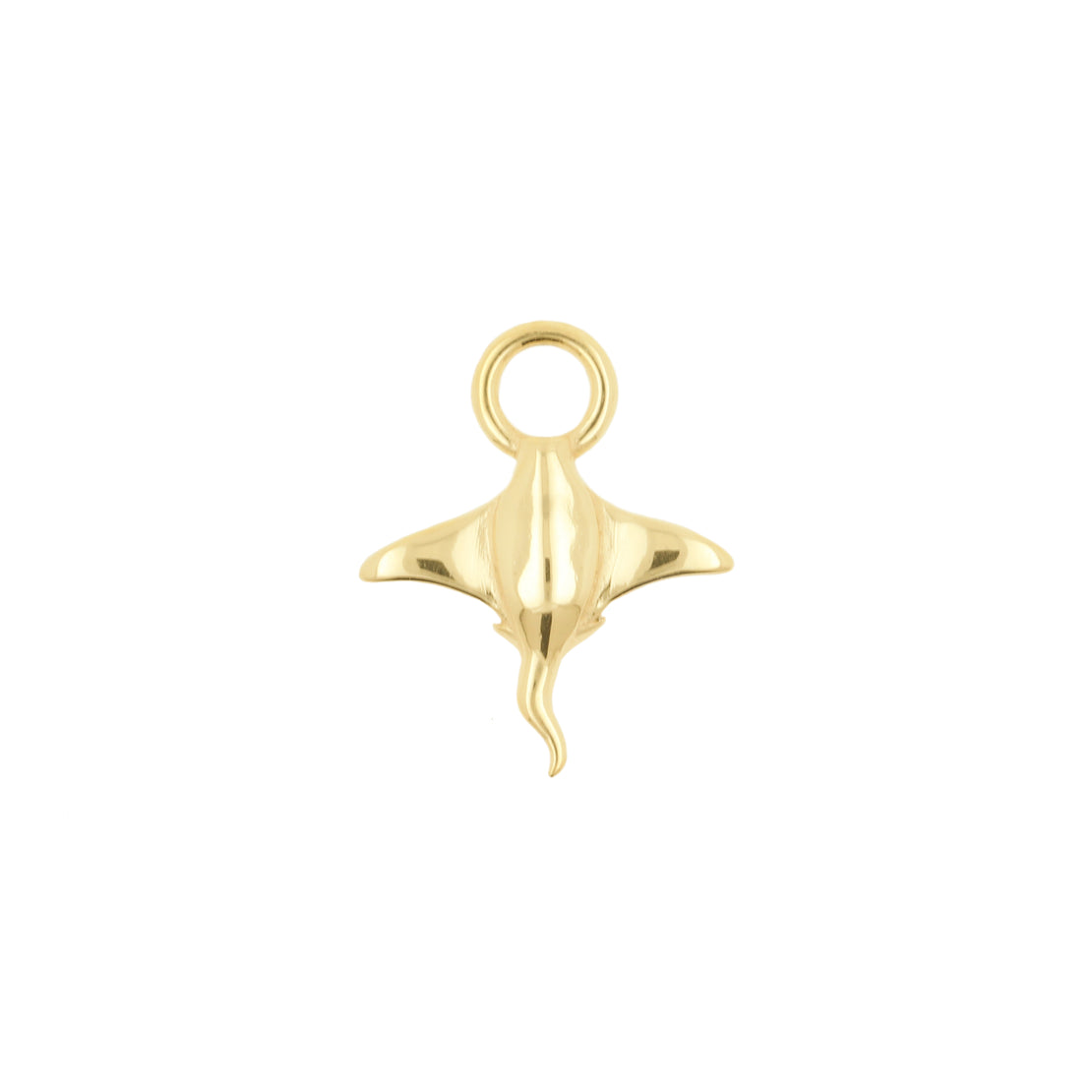 Nickel-Free Stainless Steel Charm - Ray Gold