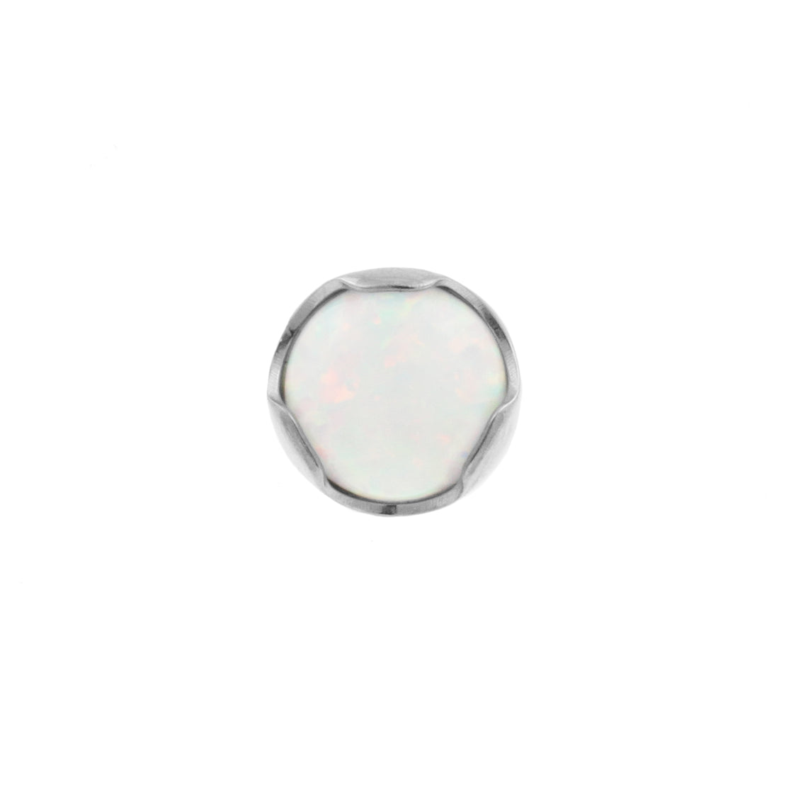 Titanium Opaal Top - White Opal