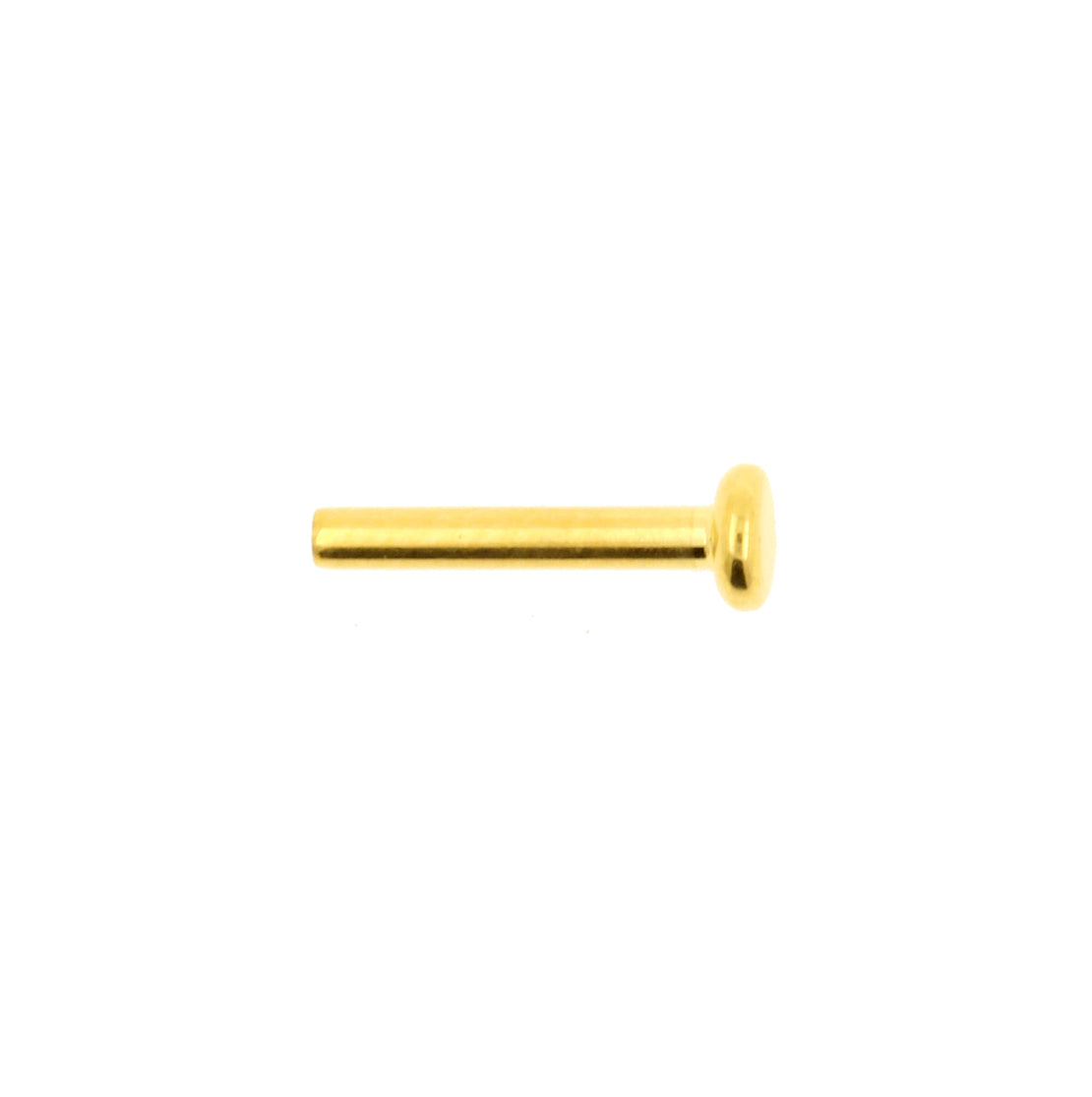 Titanium Labret Stud 3 mm Disc - Gold