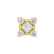 Nikkelvrij Stalen Square Cluster Attachment - Goud