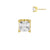 18 Karaats Gouden Zirkonia Attachment Square