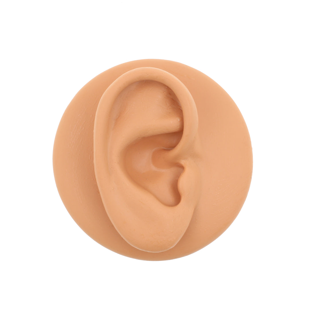 Silicone Display Ear