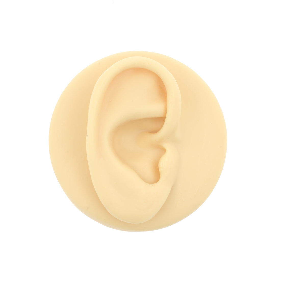 Silicone Display Ear