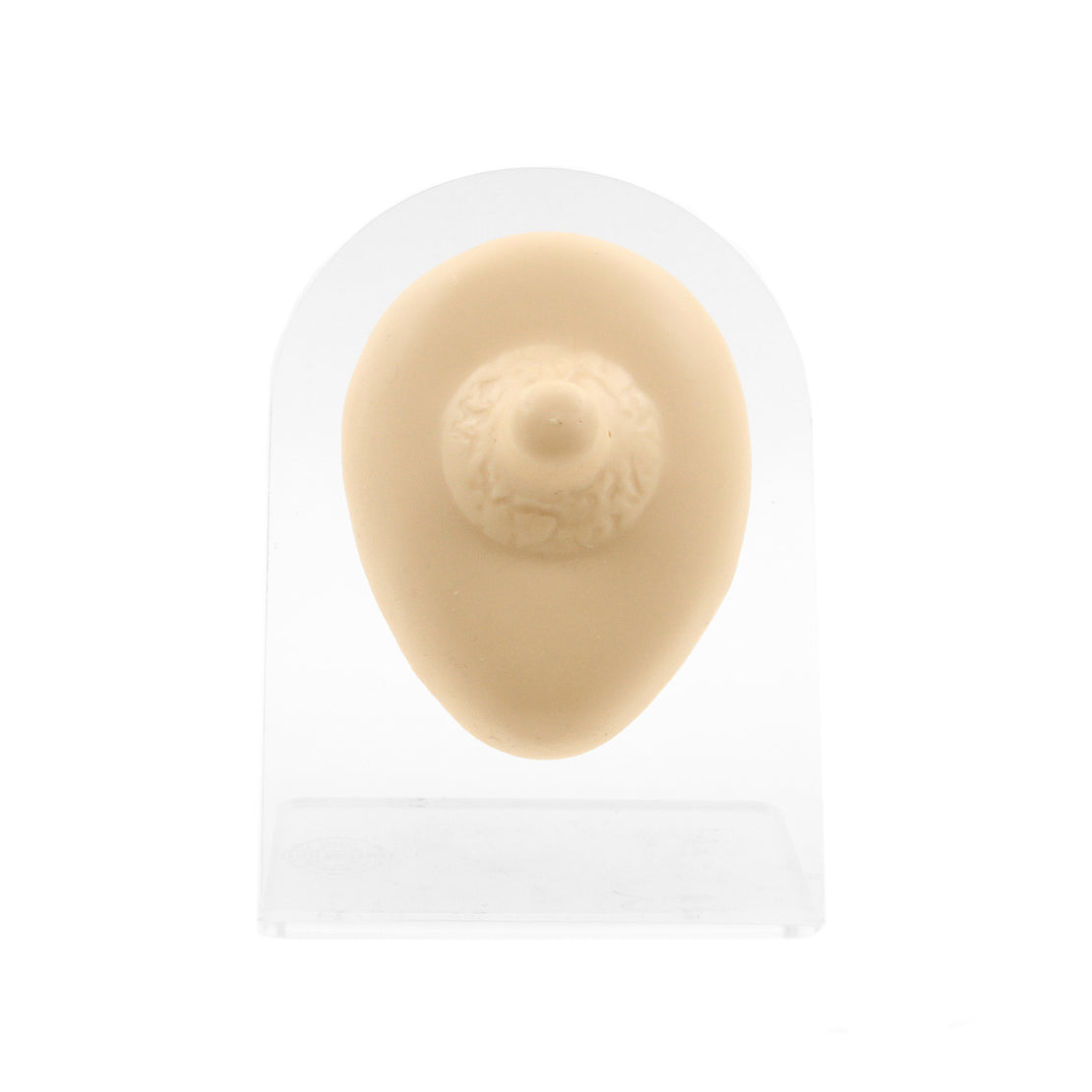 Silicone Silicone And Acrylic Display - Nipple L