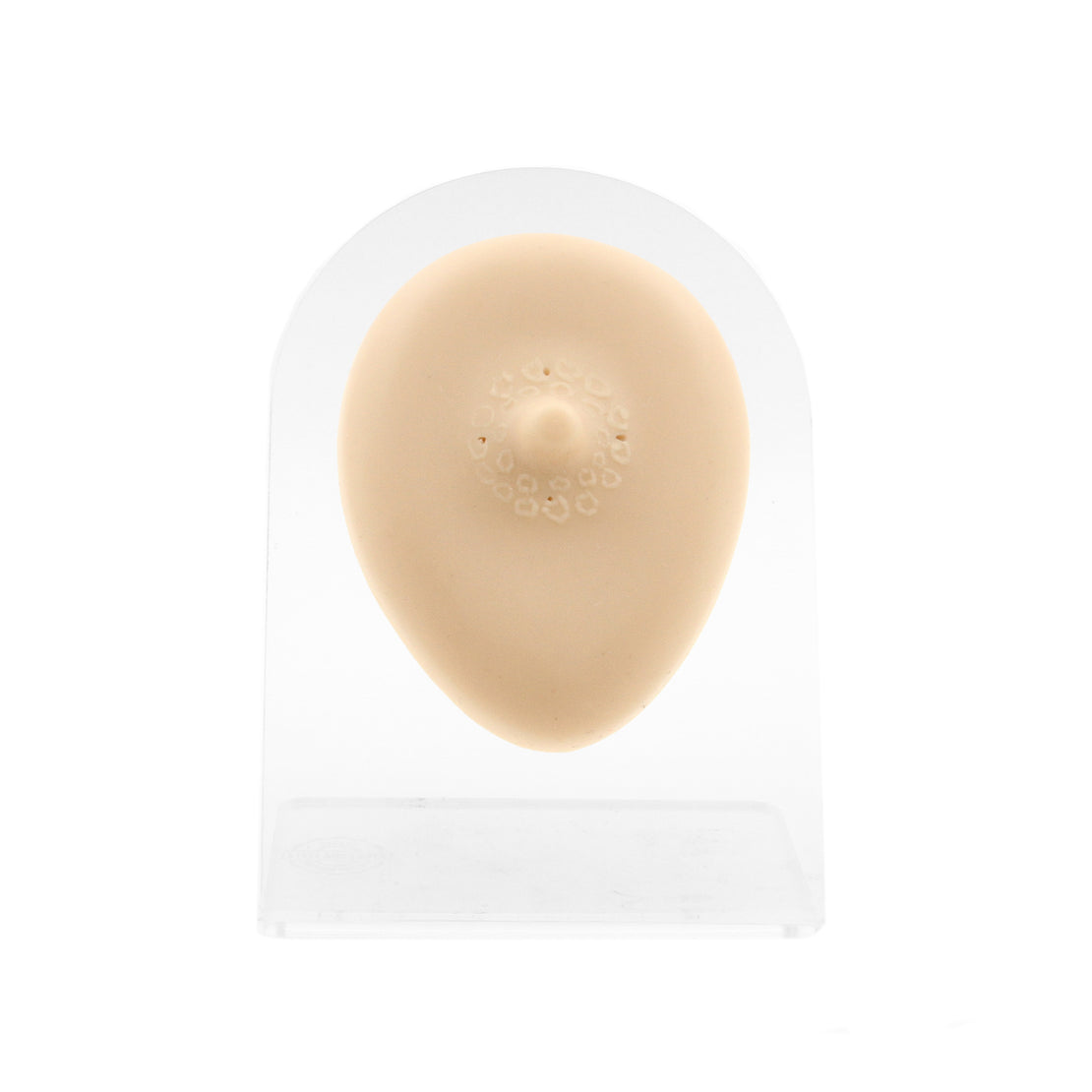 Silicone Silicone And Acrylic Display - Nipple S