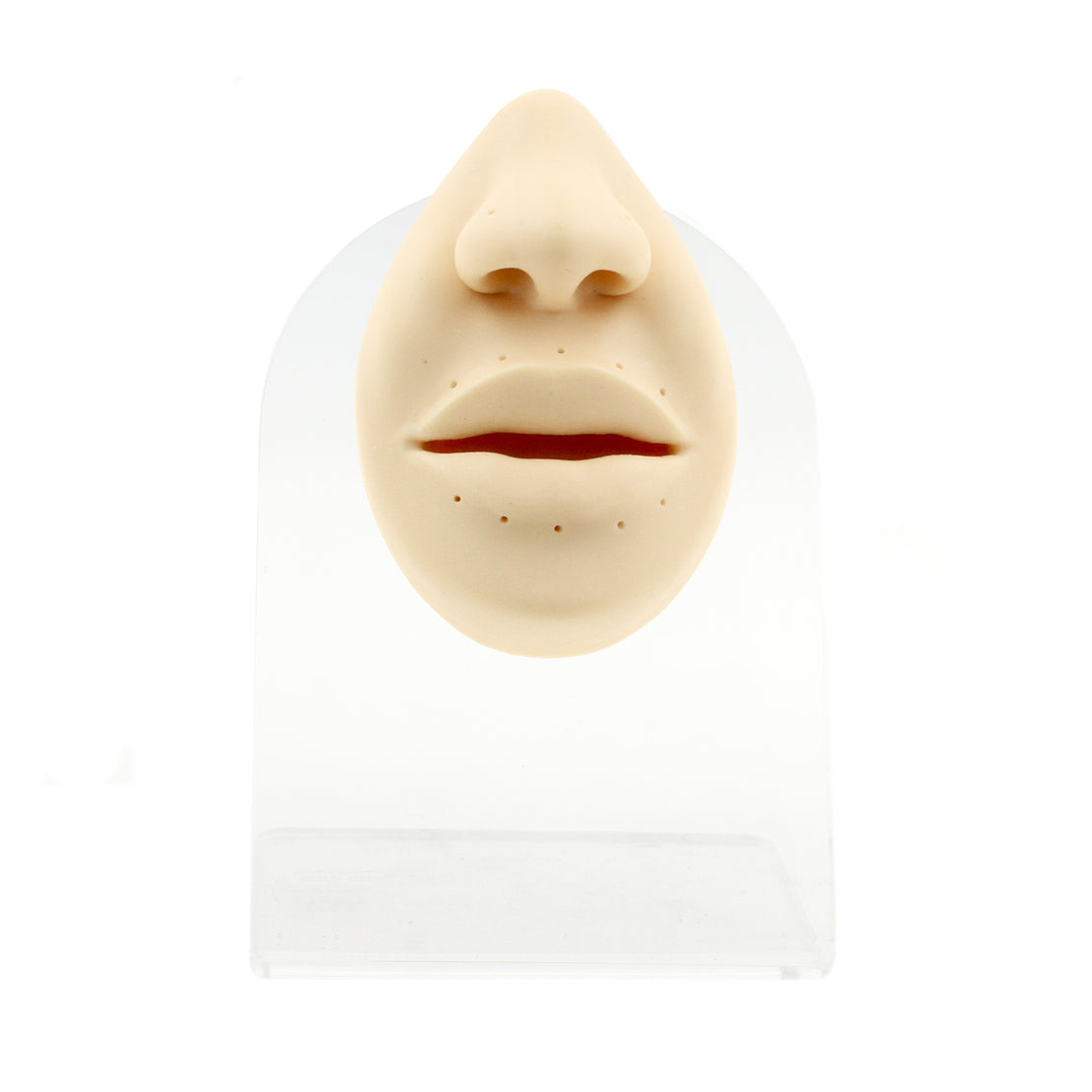 Silicone Silicone And Acrylic Display - Lips And Nose