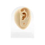 Silicone Silicone And Acrylic Display - Ear Plug Left