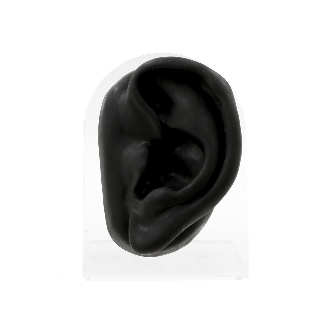 Silicone Silicone And Acrylic Display - Ear