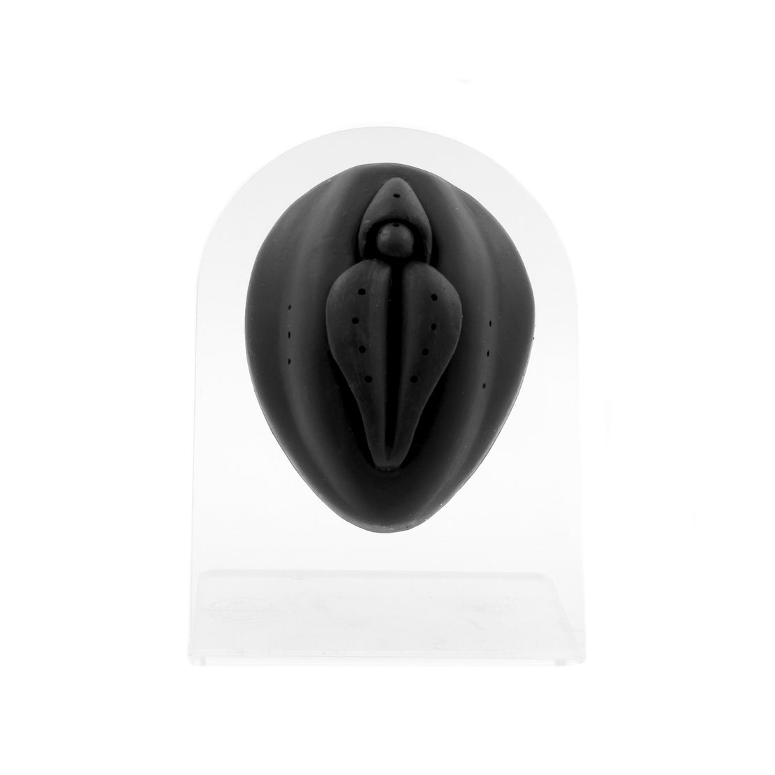 Silicone Silicone And Acrylic Display - Vulva