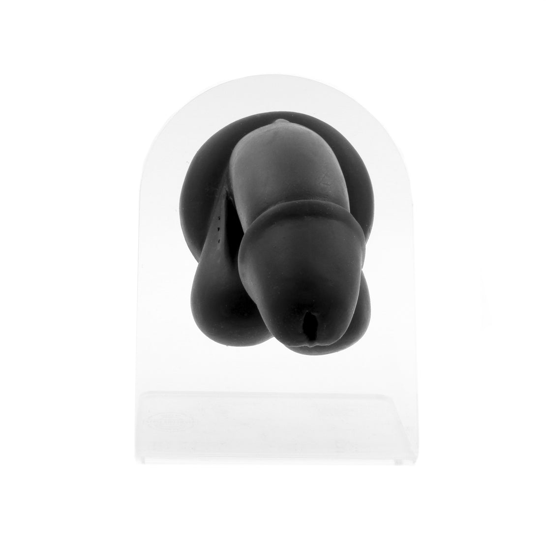 Silicone Silicone And Acrylic Display - Penis