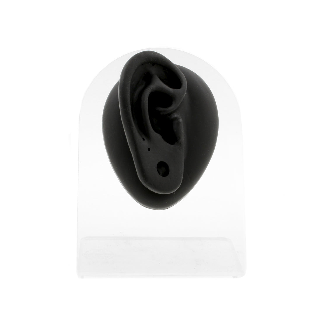 Silicone Silicone And Acrylic Display - Ear Plug Right