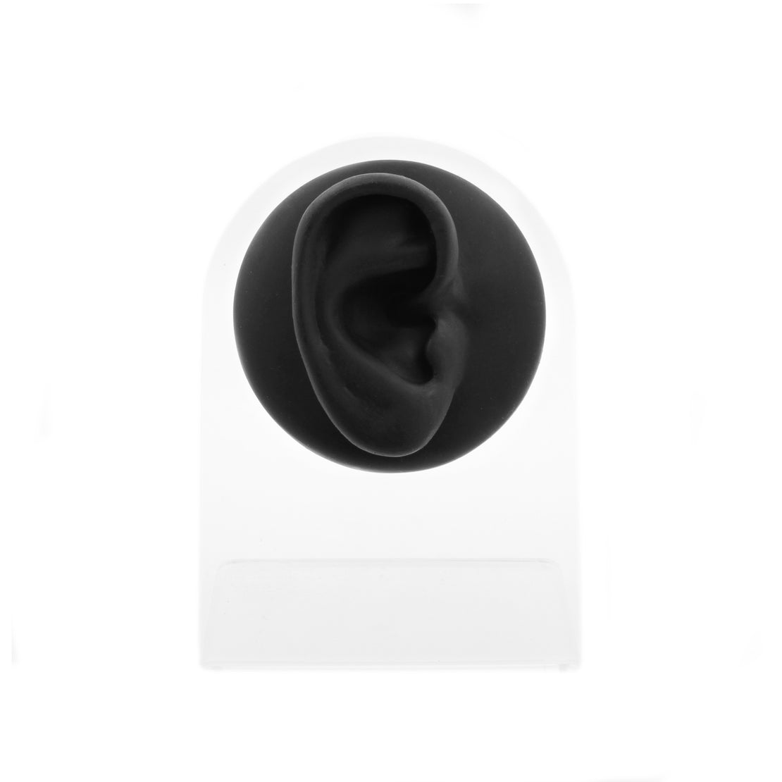 Silicone Silicone And Acrylic Display - Ear R