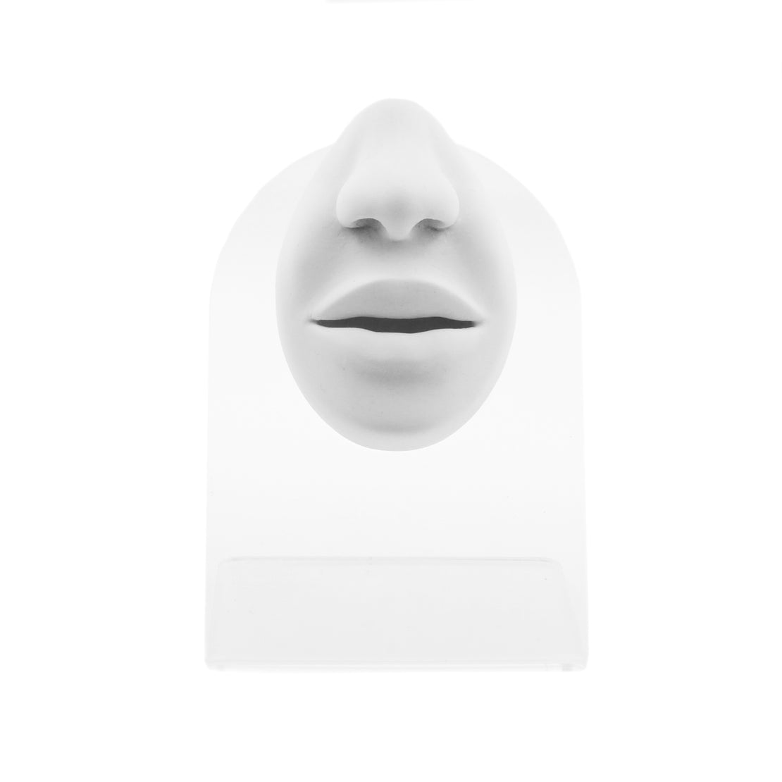 Silicone Silicone And Acrylic Display - Lips And Nose