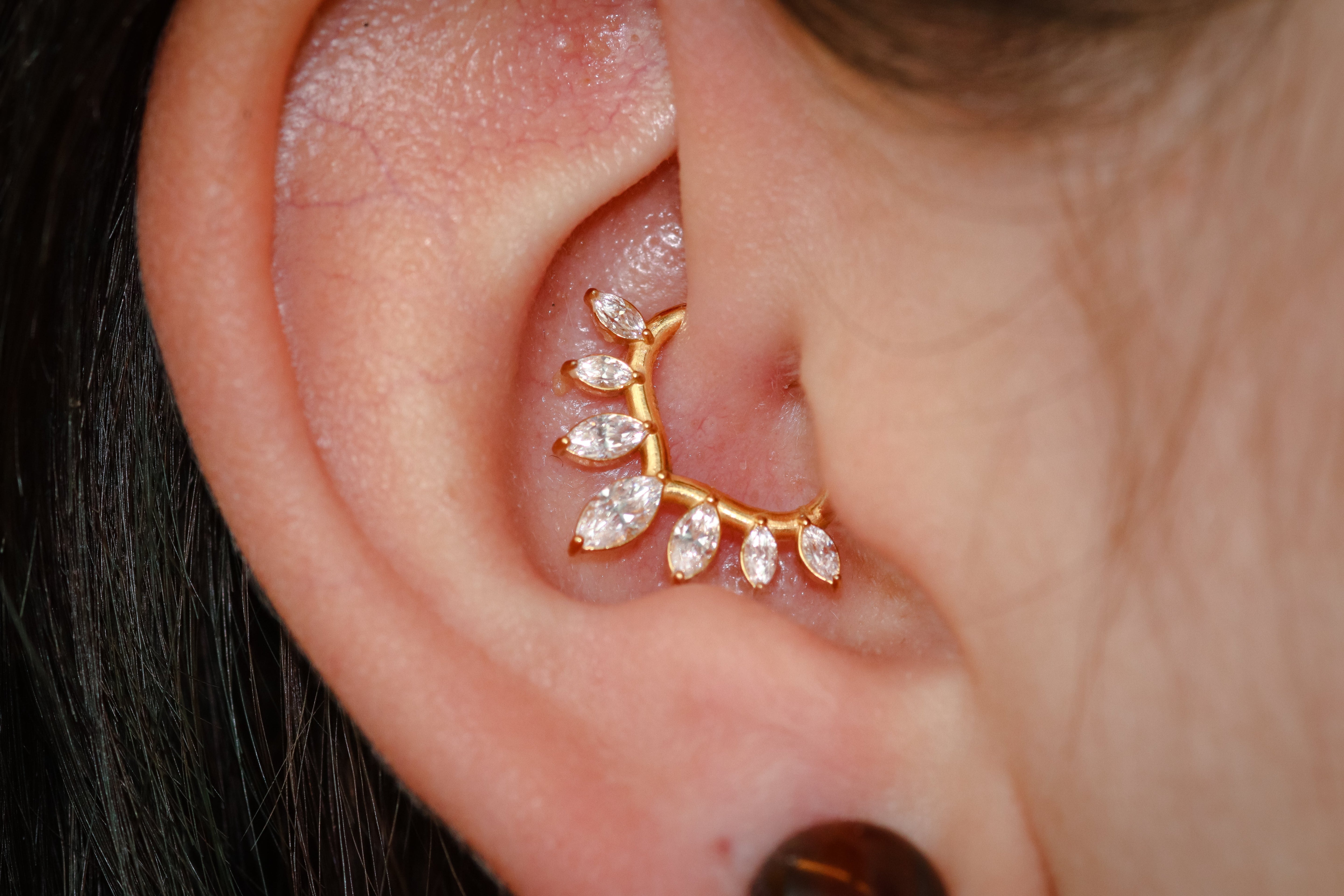 Daith Piercings