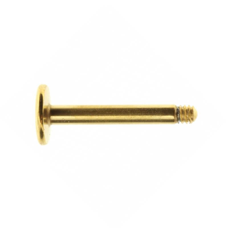 Chirurgisch Stalen Labret Stud Goud
