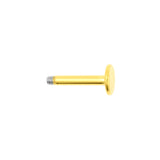 Chirurgischer Stahl Labret Stud Gold