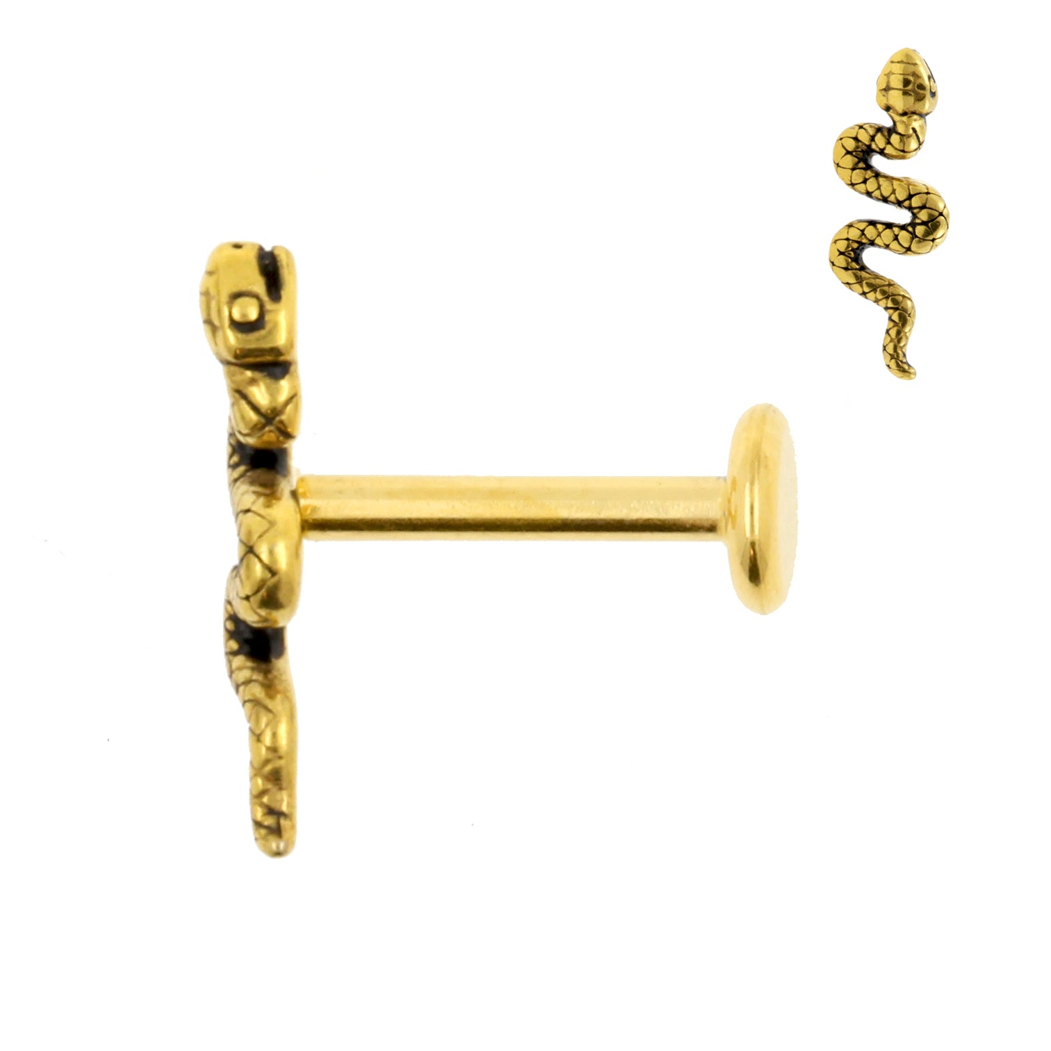 Chirurgisch Stalen Labret Stud - Slang Goud