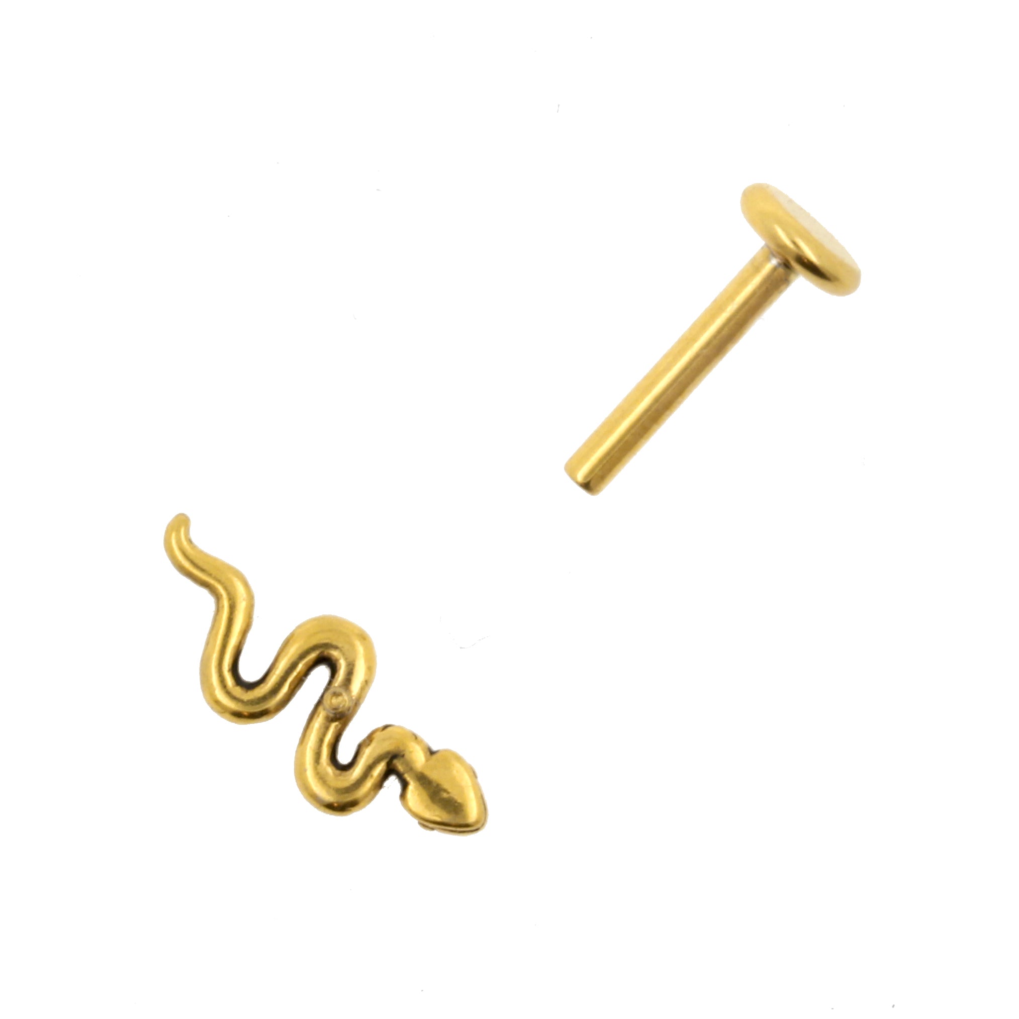 Chirurgisch Stalen Labret Stud - Slang Goud