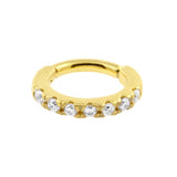Chirurgischer Stahl ovaler Clickring mit Zirkonia für Rook-Piercings Clear