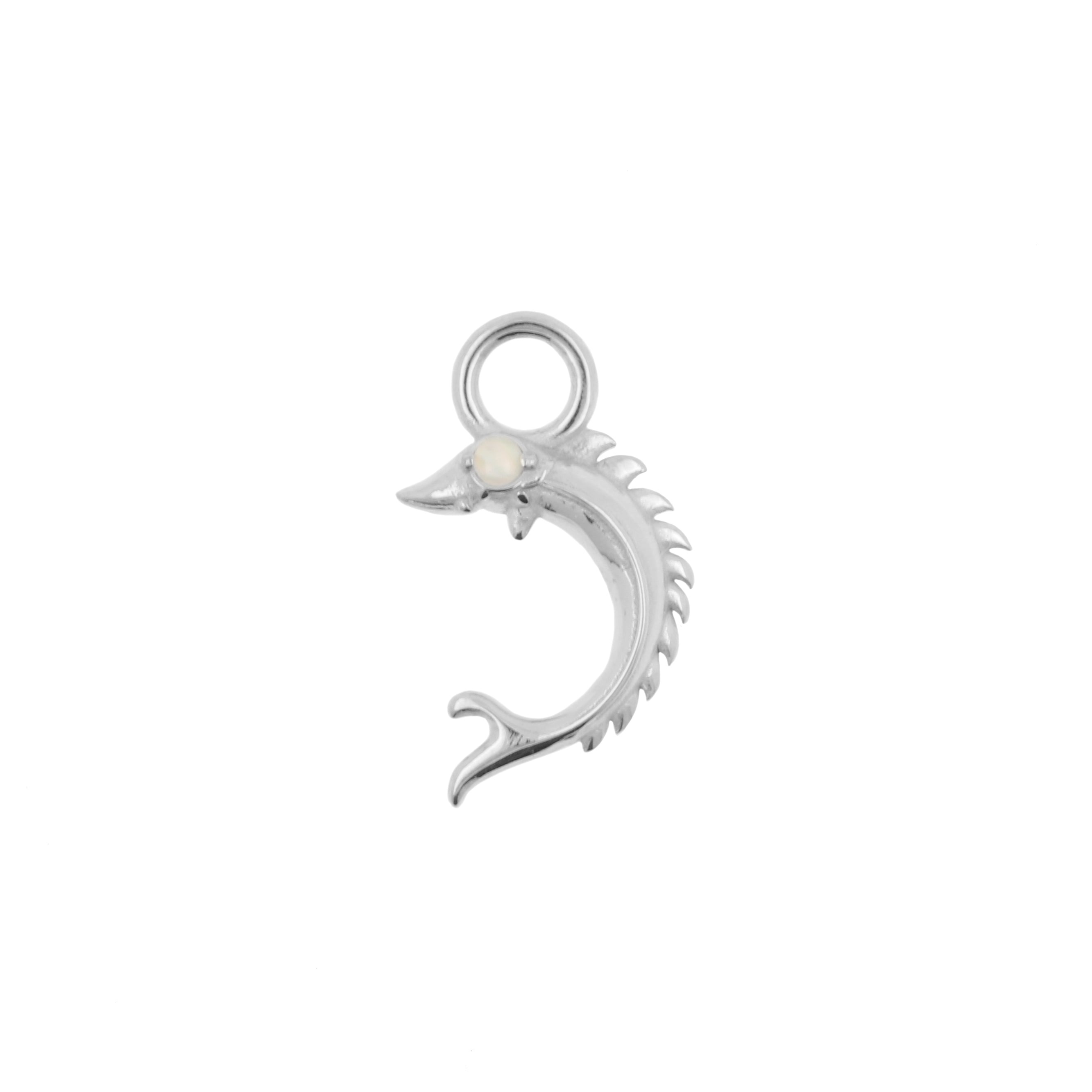 Nikkelvrij Stalen Bedel - Vis Zilver