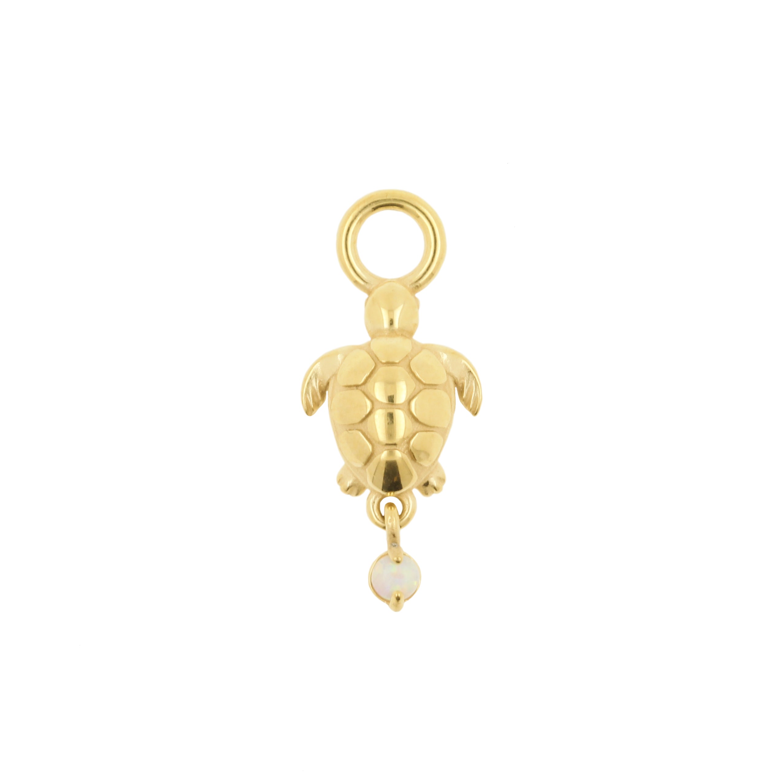 Nikkelvrij Stalen Bedel - Schildpad Goud
