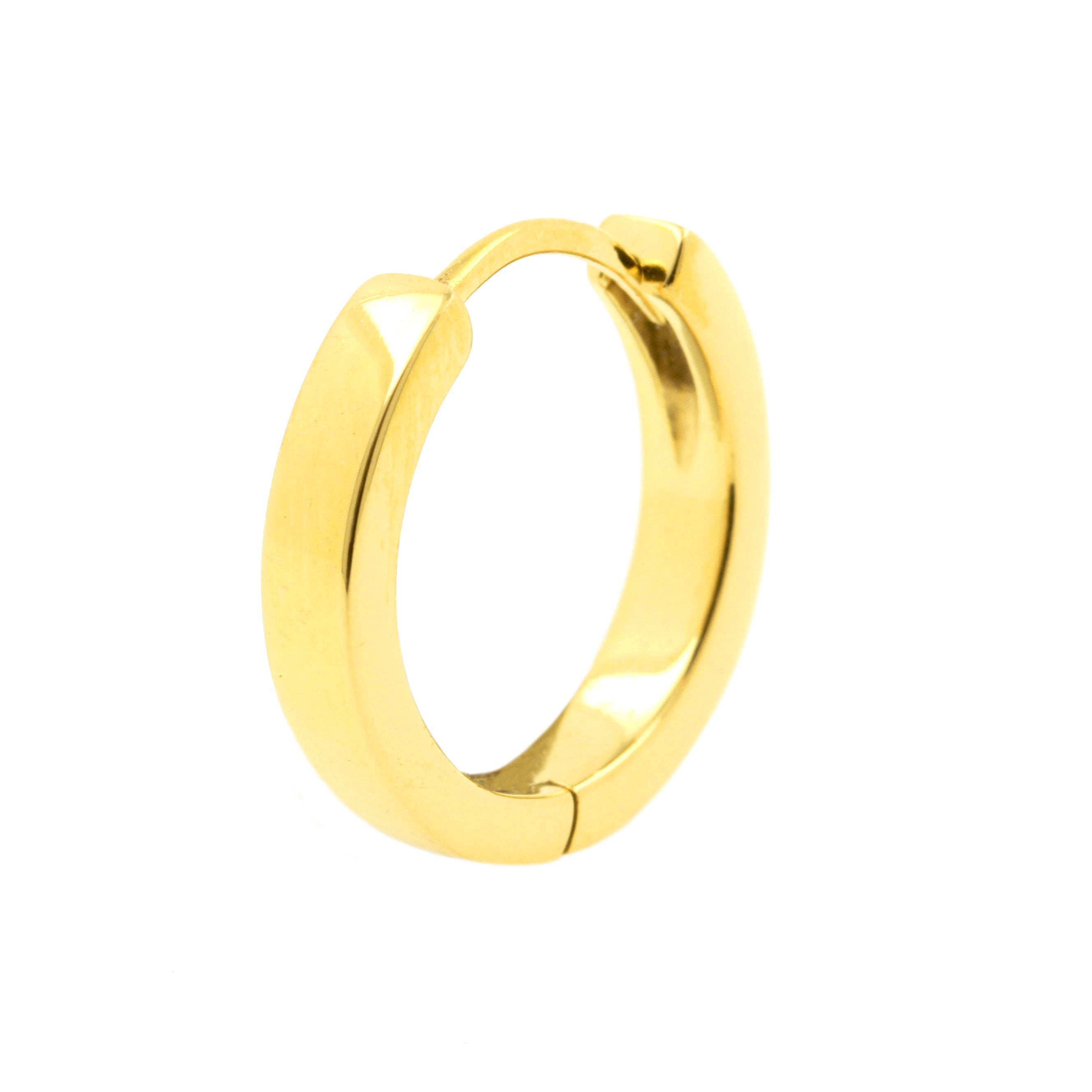 Chirurgisch Stalen Click Hoop Oorbellen Goud