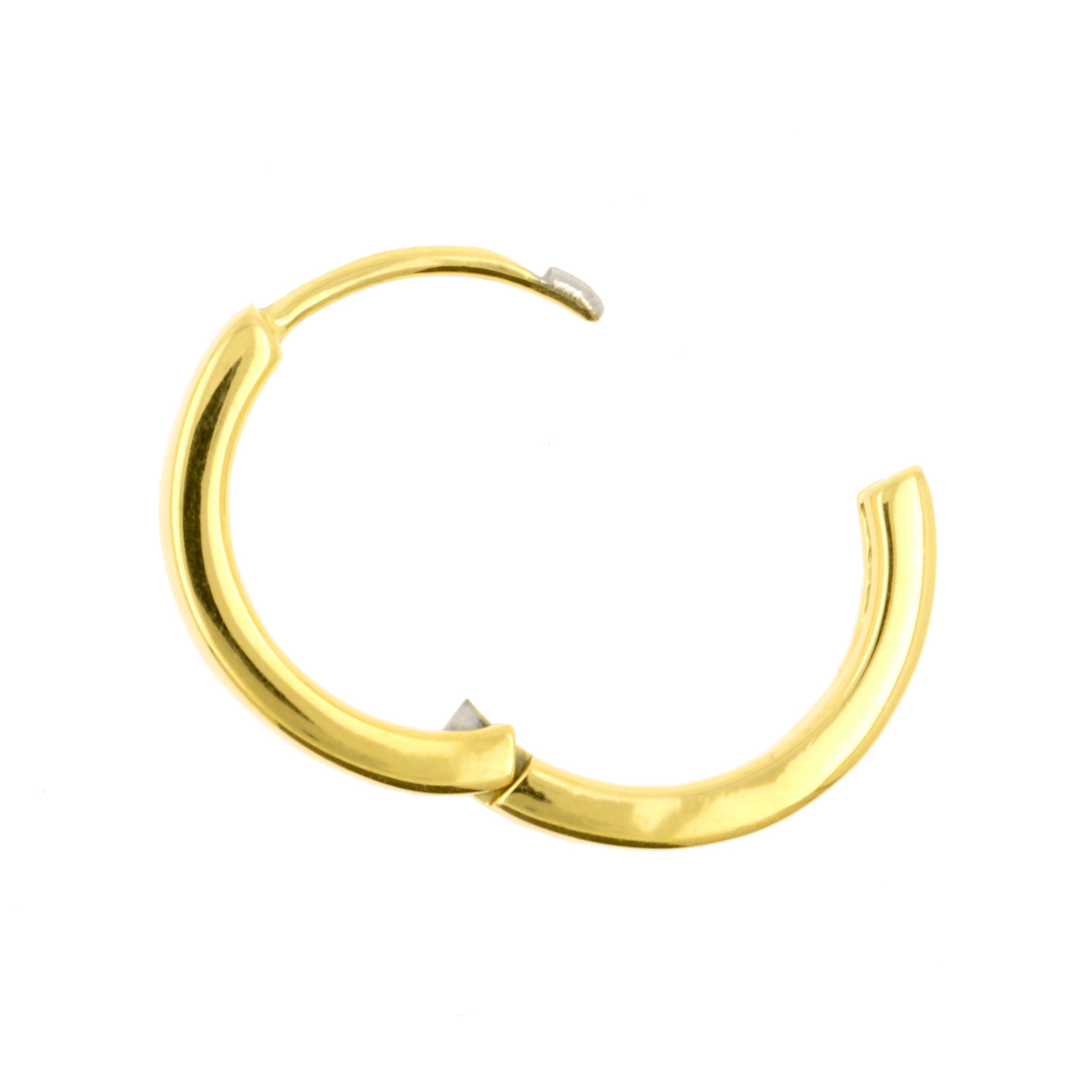 Chirurgisch Stalen Click Hoop Oorbellen Goud