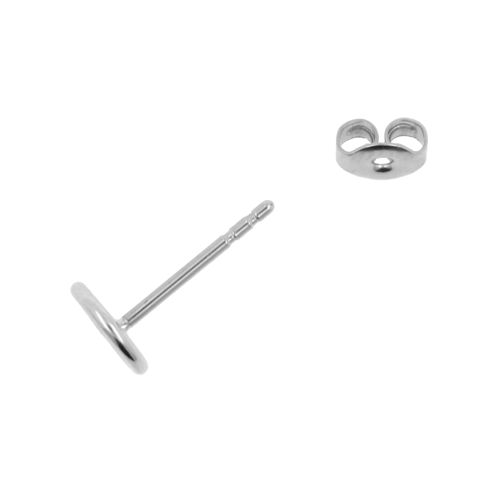 Chirurgisch Stalen Oorstekers Met Cirkel Design Zilver
