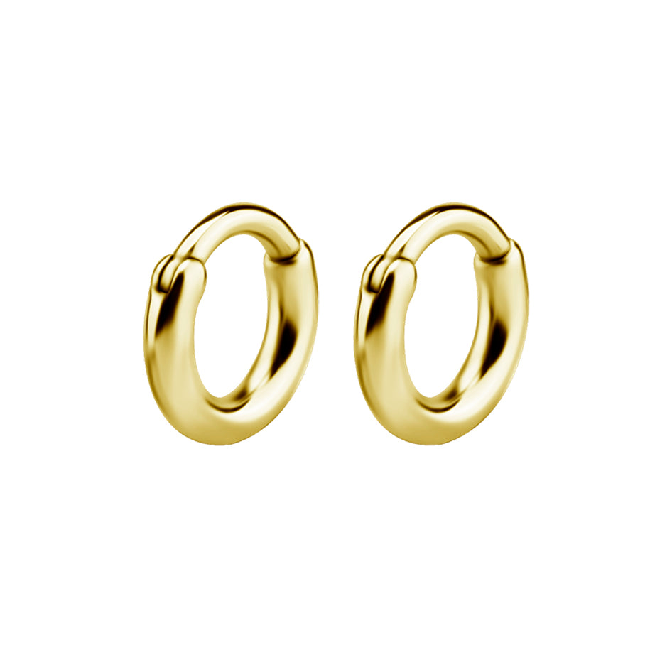 Chirurgisch Staal Click Hoop Oorbellen Goud
