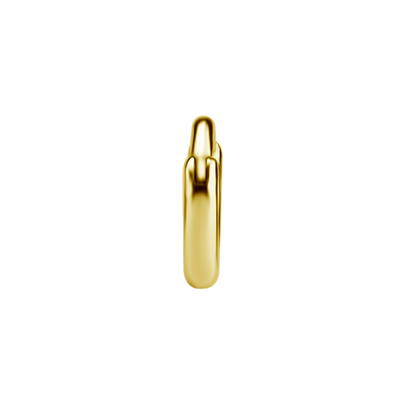 Chirurgisch Staal Click Hoop Oorbellen Goud