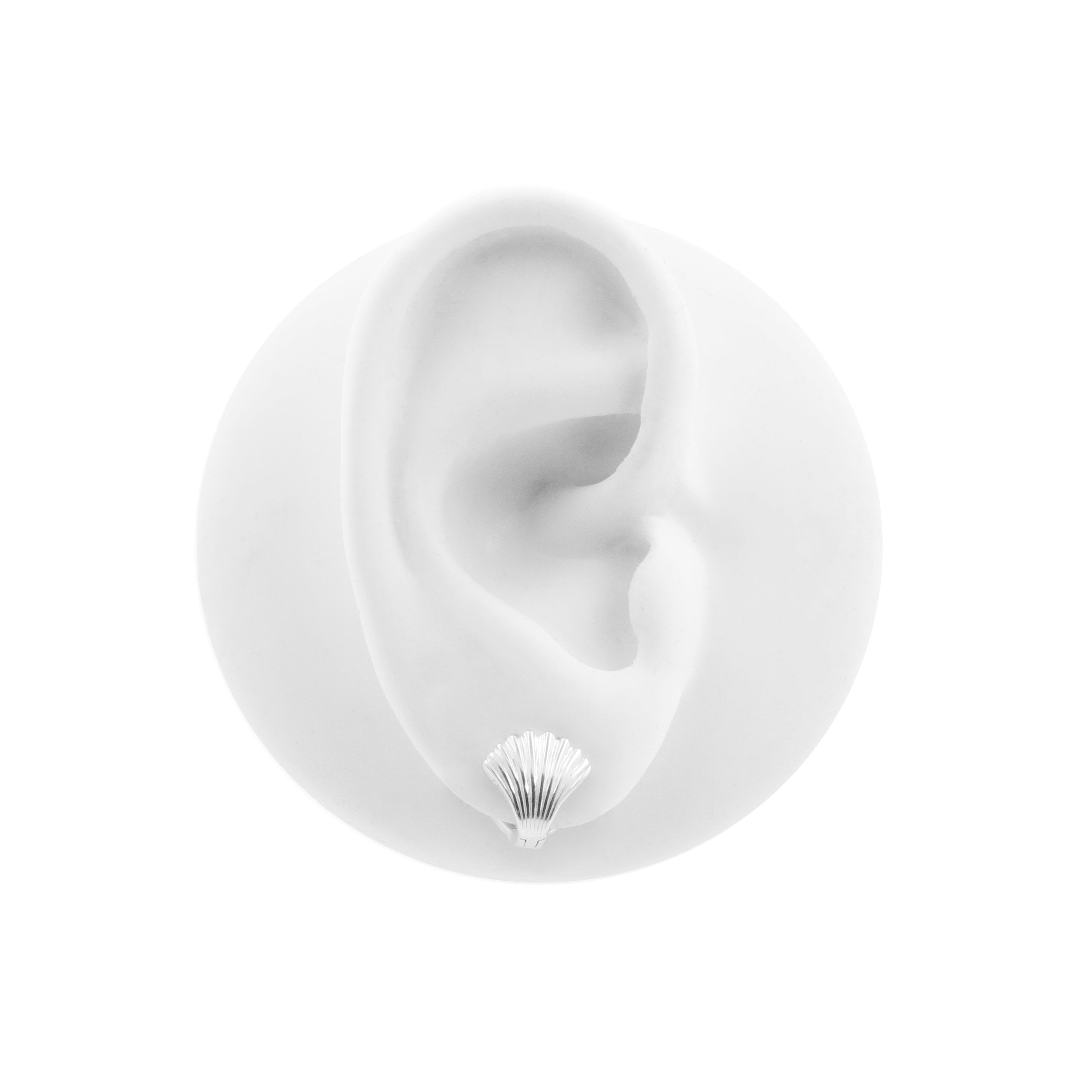 925 Zilver Oorclickers - Shell Zilver