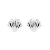 925 Silber Ohrstecker - Muschel Silber