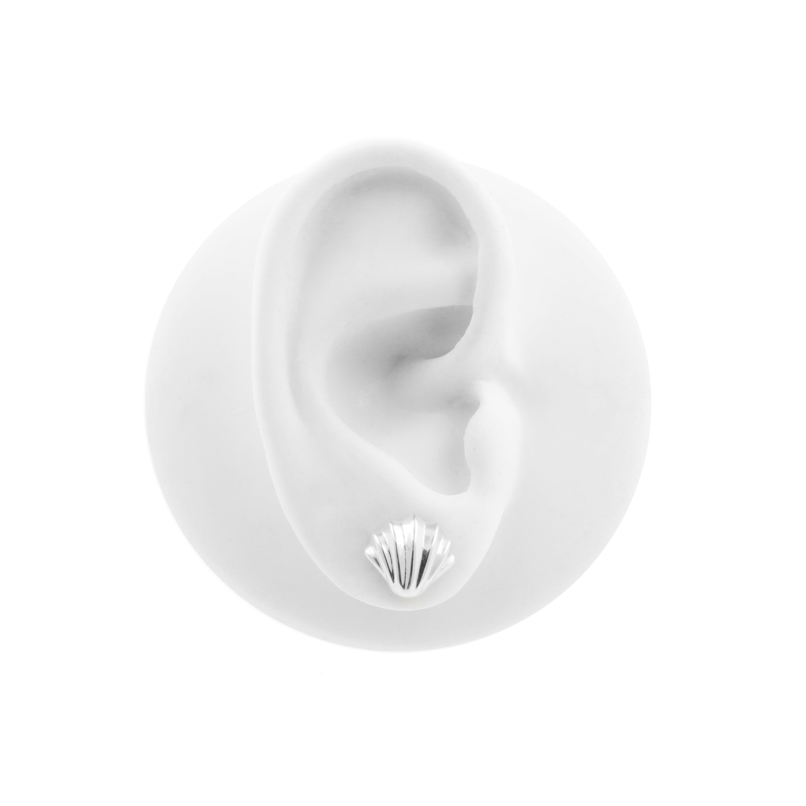 925 Zilver Oorstekers - Shell Zilver