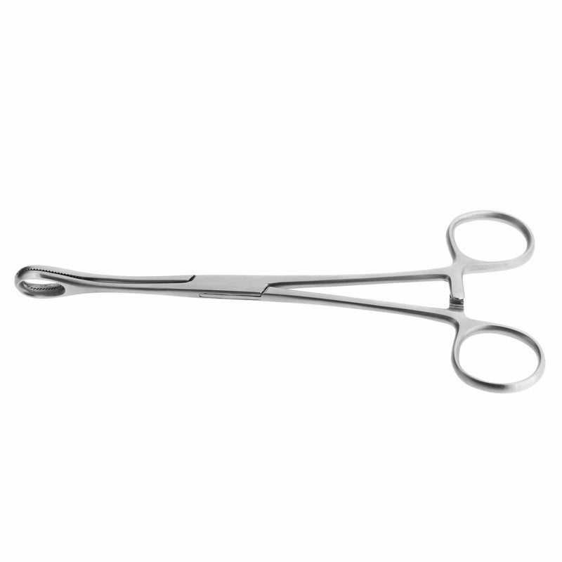 Chirurgisch Stalen Foerster Klem Zilver
