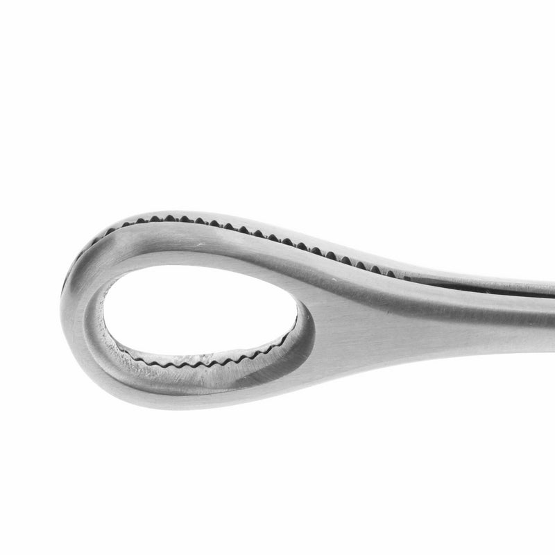 Chirurgisch Stalen Foerster Klem Zilver
