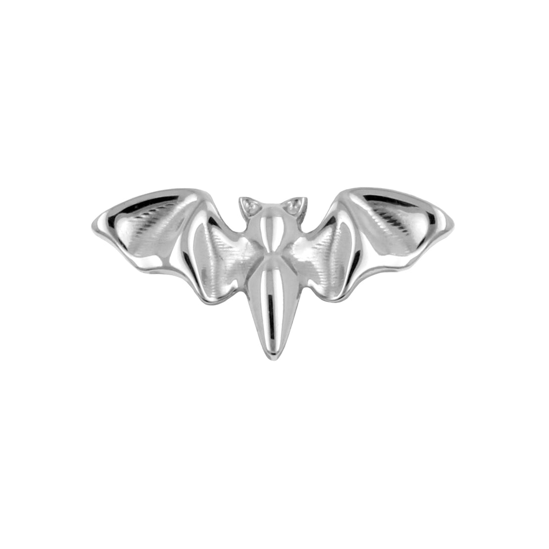 Titanium Bat - Silver