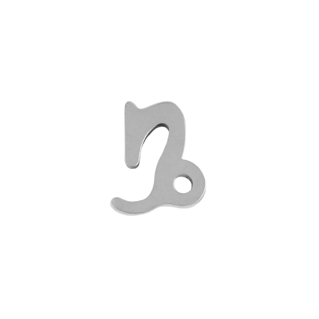 Titanium Zodiac Sign Capricornus Silver