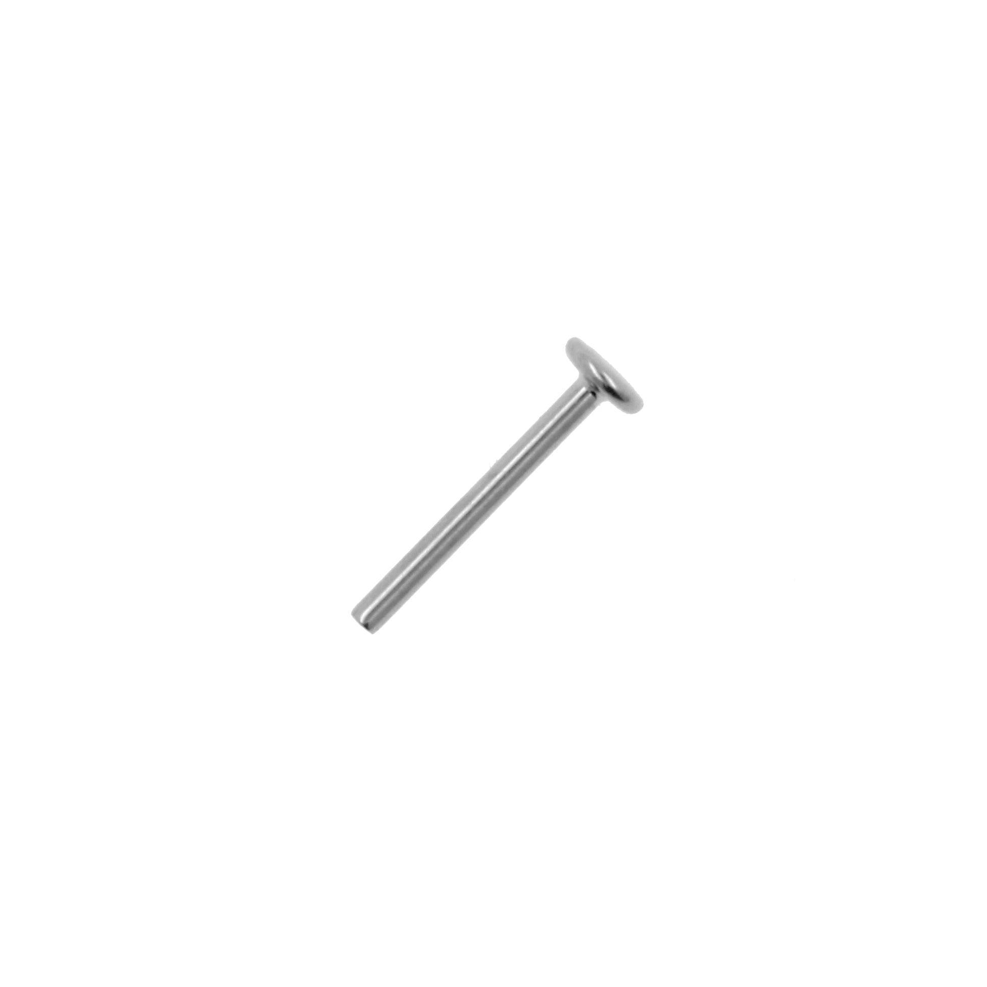 Titanium Labret Stud - Zilver