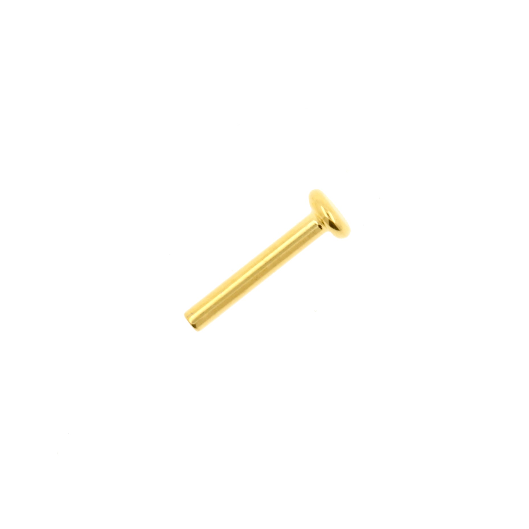 Titanium Labret Stud 2,5 mm Disc - Goud