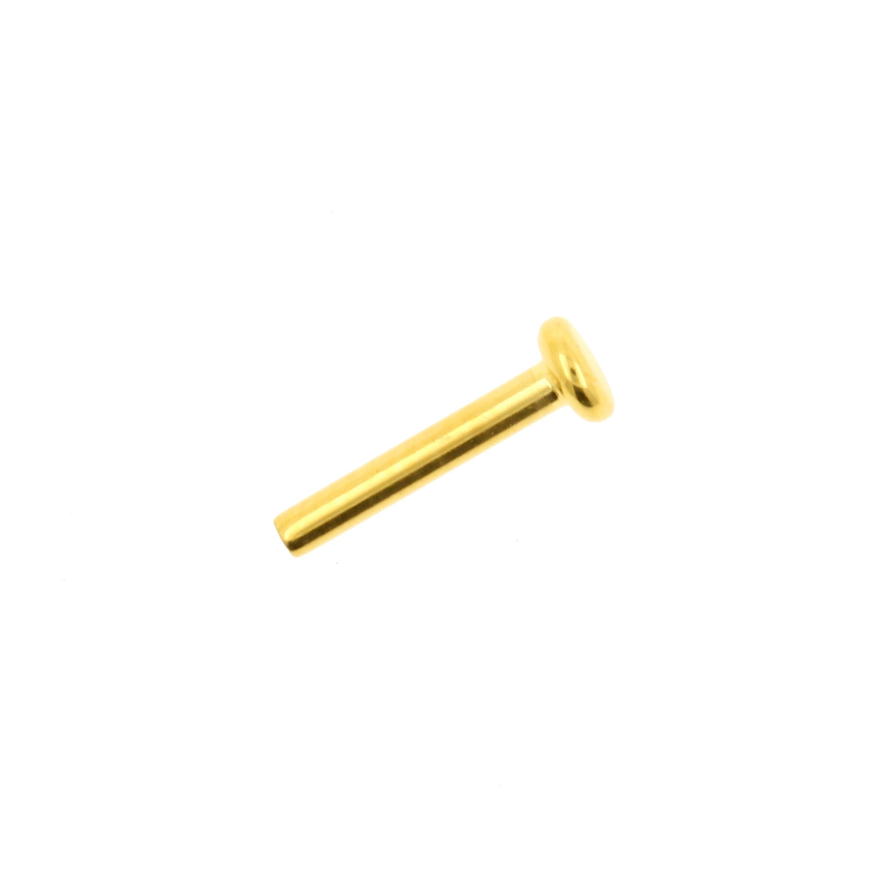 Titanium Labret Stud 3 mm Disc - Goud