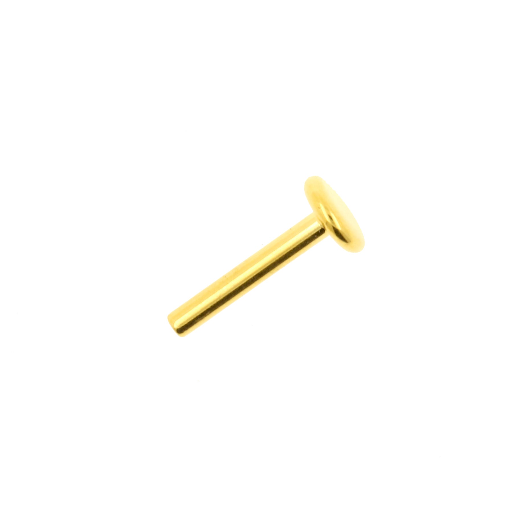 Titanium Labret Stud 4 mm Disc - Goud