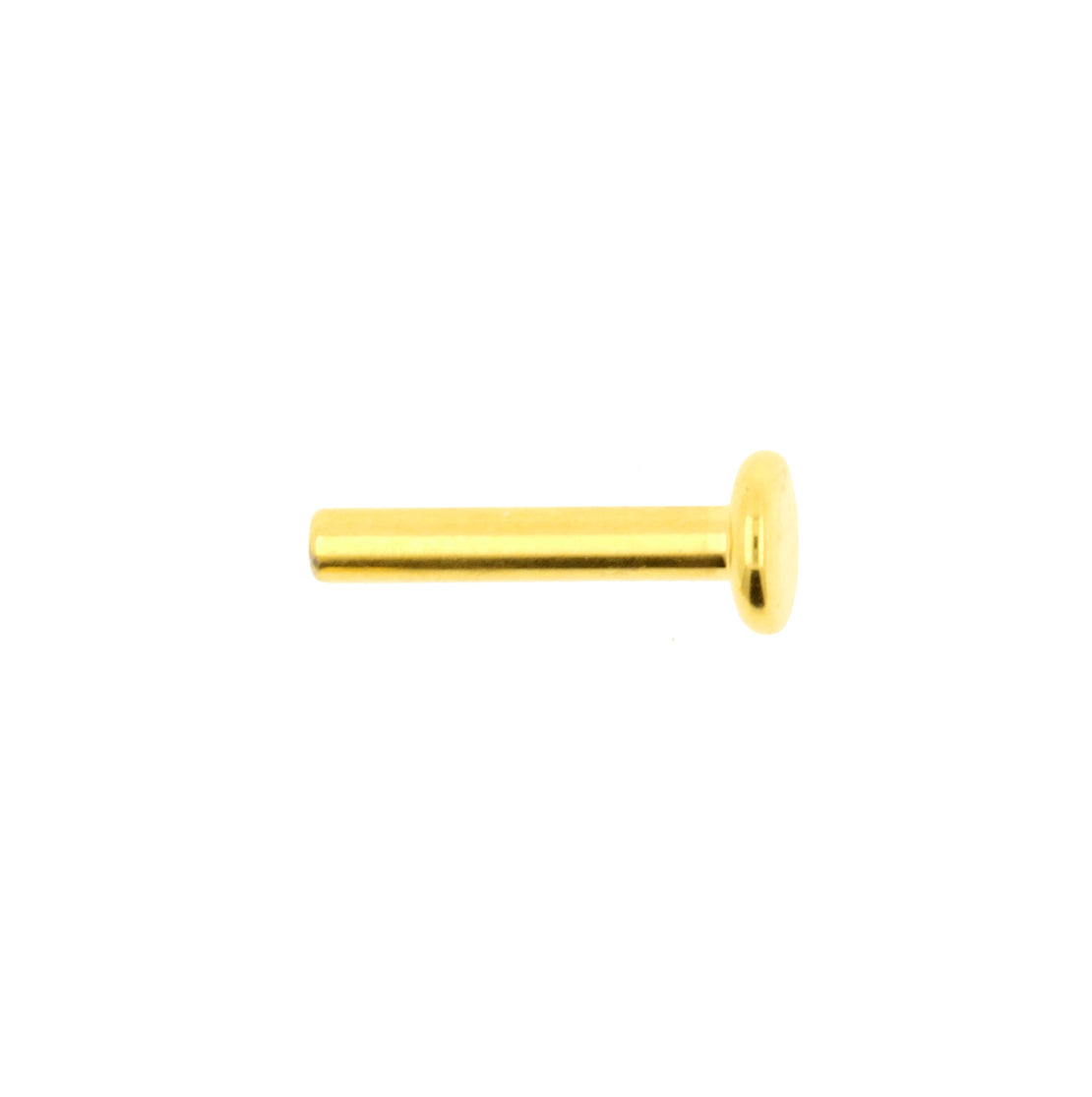 Titanium Labret Stud 4 mm Disc - Goud