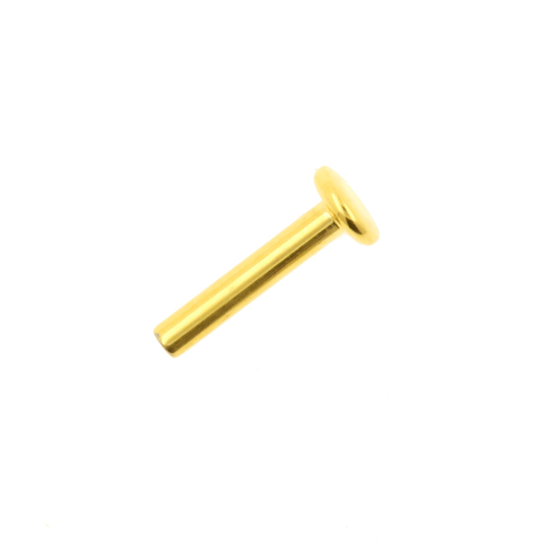 Titanium Labret Stud 4 mm Disc - Goud