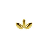 Nickelfreier Stahl Fächer Gold