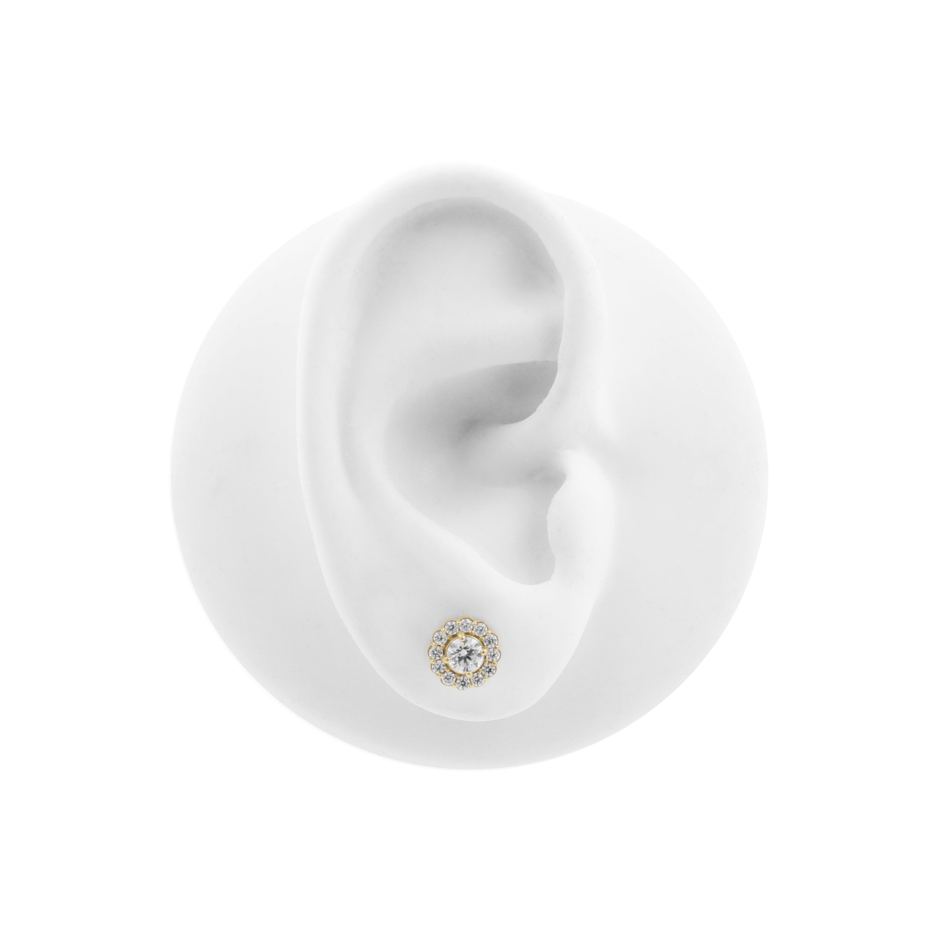 Nickel-Free Stainless Steel - Zirconia Large Disc - Gold