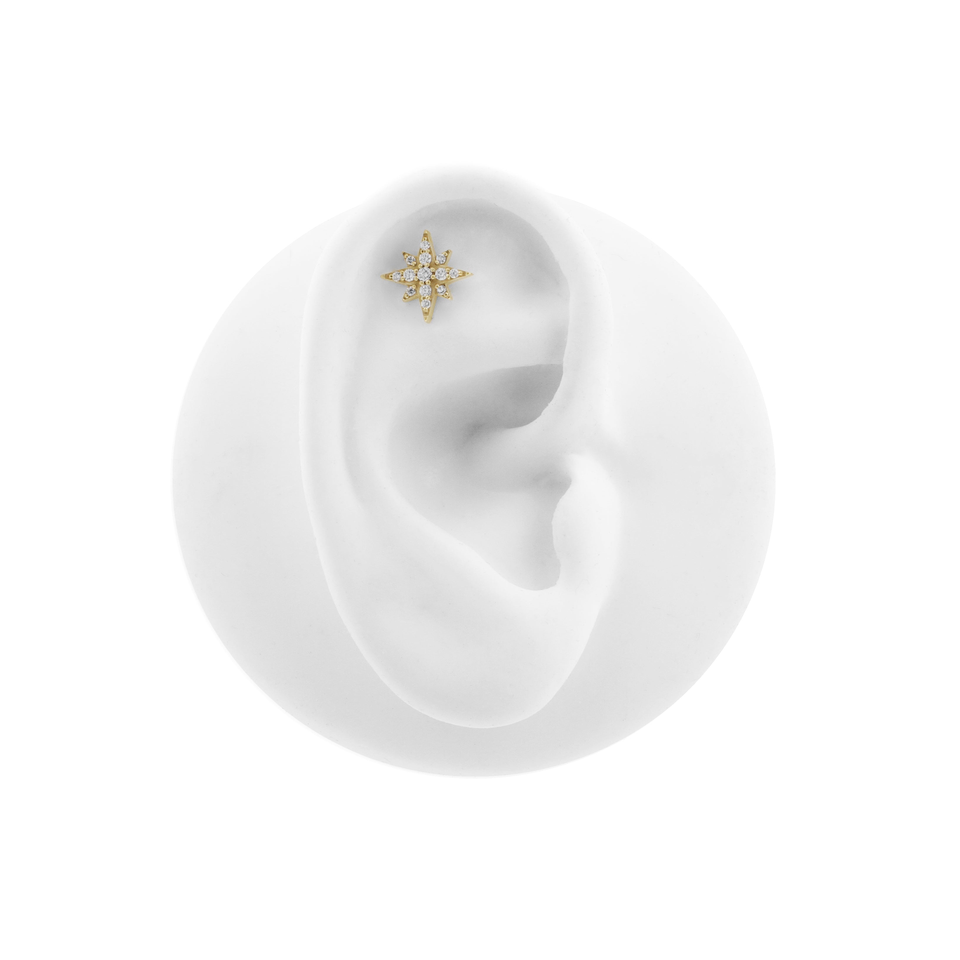 Nickel-Free Stainless Steel - Zirconia Northern Star - Gold