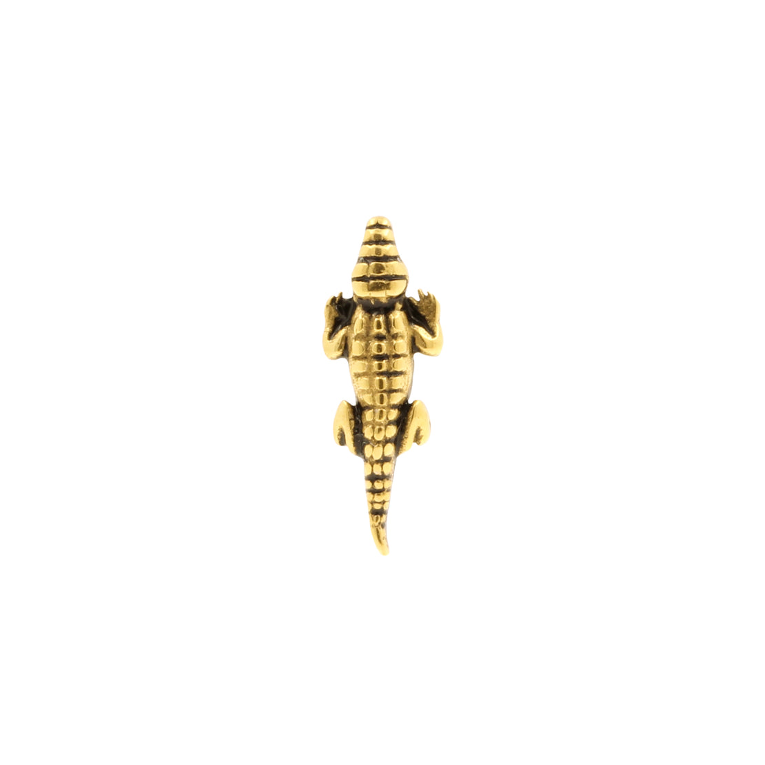Surgical Steel Crocodile Top - Gold
