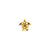 Surgical Steel Turtle Top - Gold
