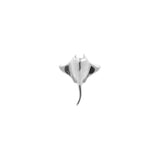 Chirurgischer Stahl Rochen-Top - Silber